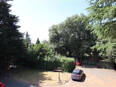 Picture 13